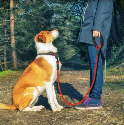 Dog Walking Leash Rope